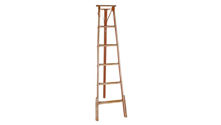 Ladder Natural Fruit Piking – 6′ | Rental