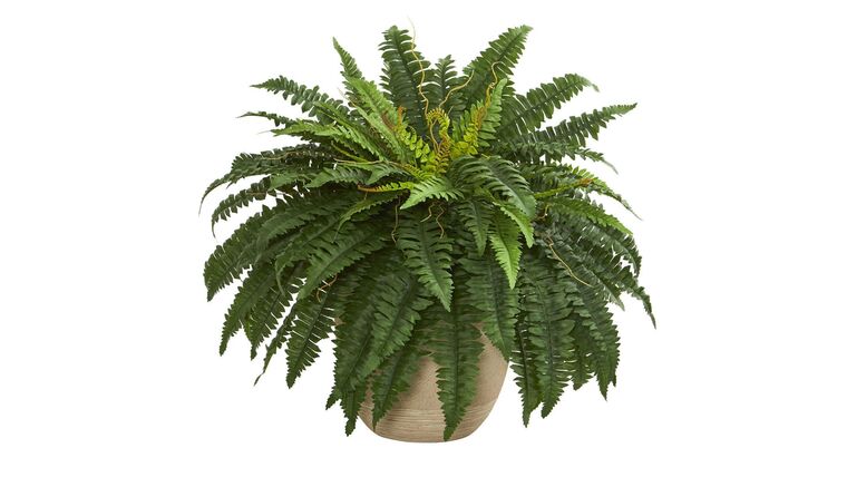 22” Boston Fern Artificial Plant in Sandstone Planter | Rental 22” Boston Fern Artificial Plant in Sandstone Planter | Rental