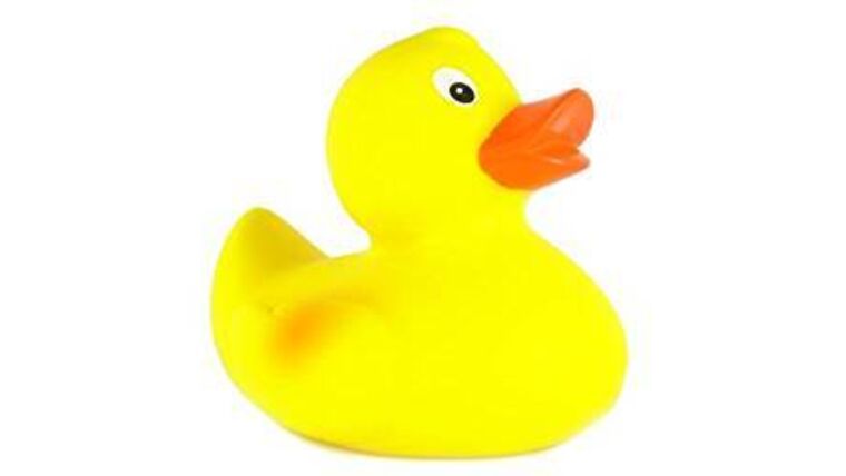 2″ Yellow Rubber Duck | Rental