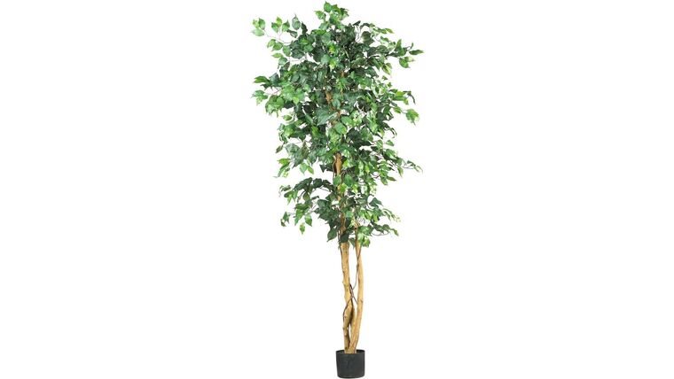 7′ Ficus Tree – Artificial | Rental 7′ Ficus Tree – Artificial | Rental