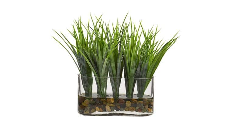 Vanilla Grass Artificial Plant in Oval Vase | Rental Vanilla Grass Artificial Plant in Oval Vase | Rental