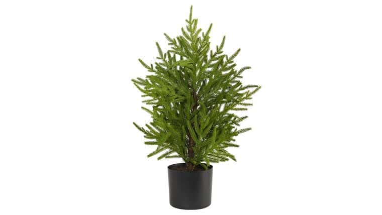 2’ Norfolk Island Pine “Natural Look” Artificial Christmas Tree in Decorative Planter | Rental