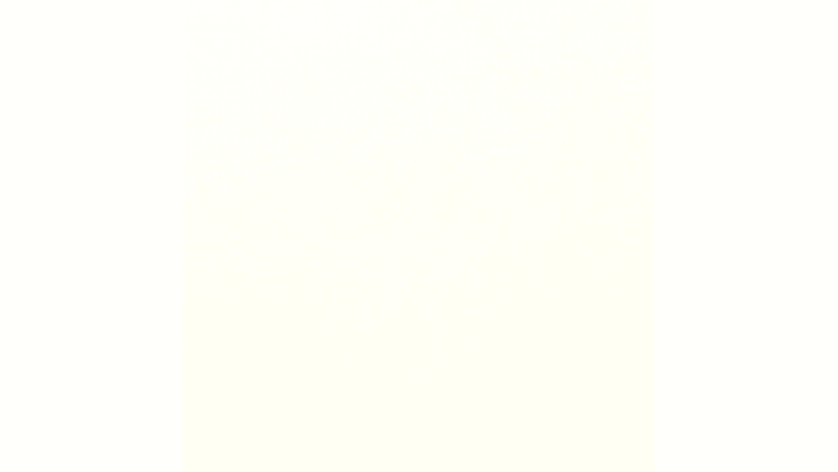 Marlite Stage Flooring – White – 4′ x 8′ | Purchase | Rental