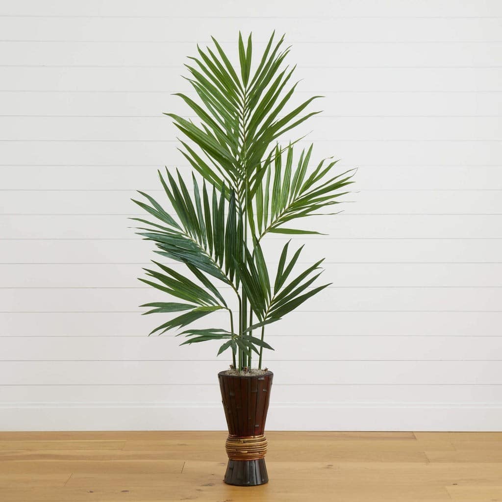 6’ Kentia Tree w/Bamboo Planter | Rental 6’ Kentia Tree w/Bamboo Planter | Rental