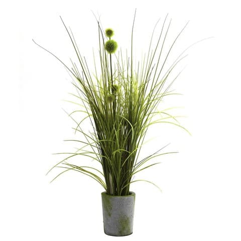 Grass & Dandelion w/Cement Planter | Rental Grass & Dandelion w/Cement Planter | Rental