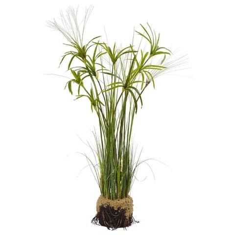 Papyrus Plant with Faux Soil | Rental Papyrus Plant with Faux Soil | Rental