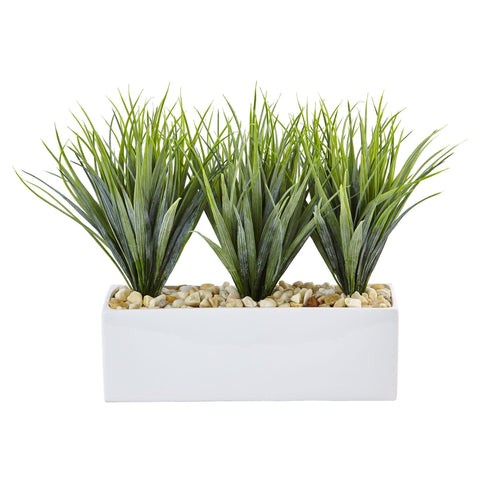 Vanilla Grass in Rectangular Planter | Rental Vanilla Grass in Rectangular Planter | Rental