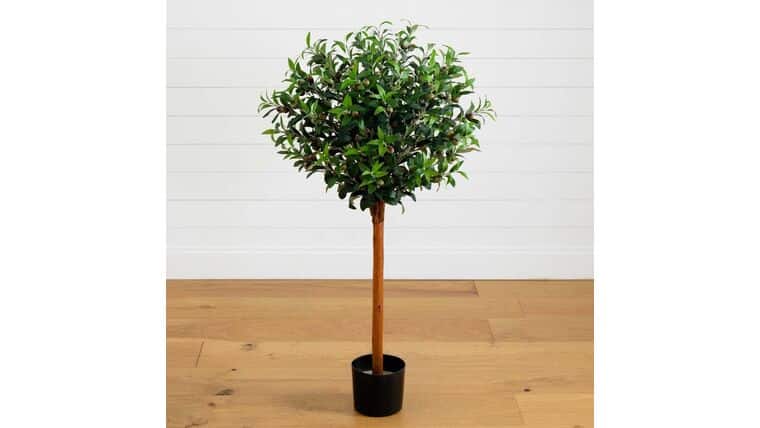 4’ Olive Topiary Silk Tree | Rental