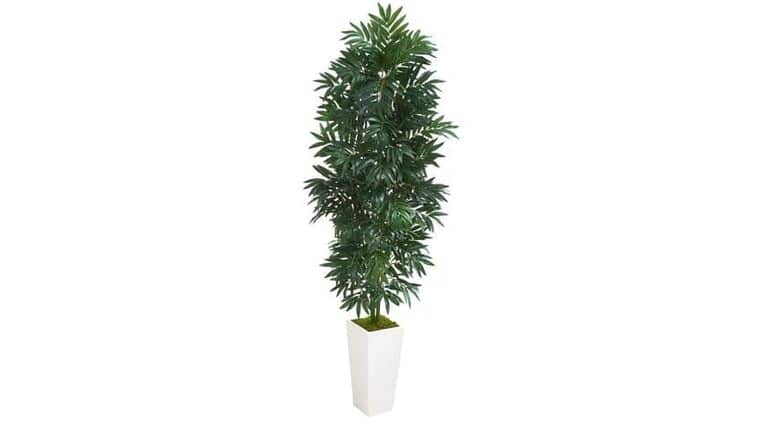 10’ Artificial Paradise Palm Tree | Rental 10’ Artificial Paradise Palm Tree | Rental