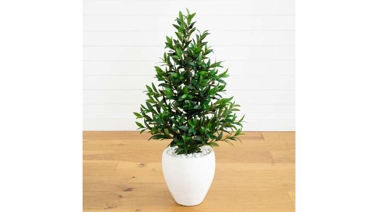 3.5’ Olive Cone Topiary Artificial Tree in White Planter (Indoor/Outdoor) | Rental