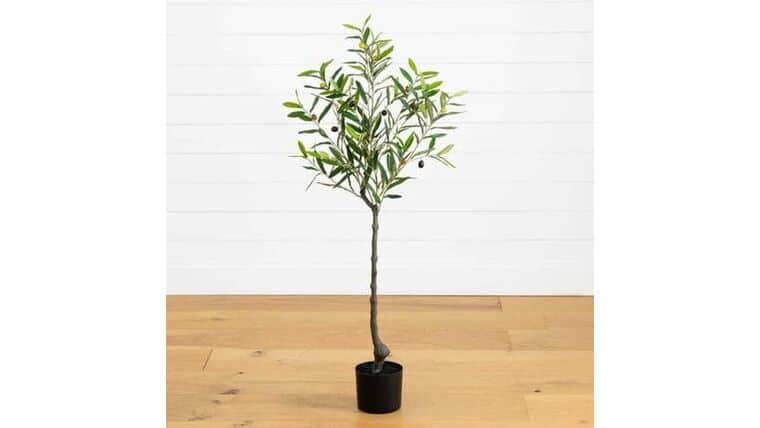 2’ Olive Artificial Tree | Rental 2’ Olive Artificial Tree | Rental