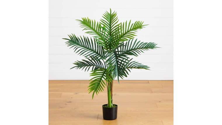10’ UV Resistant Artificial Double Robellini Palm Tree (Indoor/Outdoor) | Rental 10’ UV Resistant Artificial Double Robellini Palm Tree (Indoor/Outdoor) | Rental