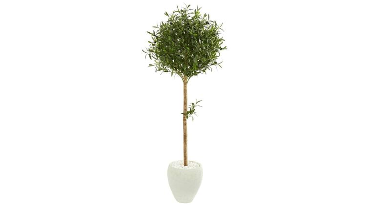 4’ Olive Topiary Artificial Tree in White Planter(Indoor/Outdoor) | Rental 4’ Olive Topiary Artificial Tree in White Planter(Indoor/Outdoor) | Rental