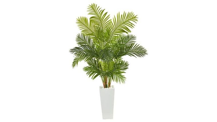 18” Assorted Mini Palm and Banana Artificial Plant in White Planter (Set of 3) | Rental 18” Assorted Mini Palm and Banana Artificial Plant in White Planter (Set of 3) | Rental