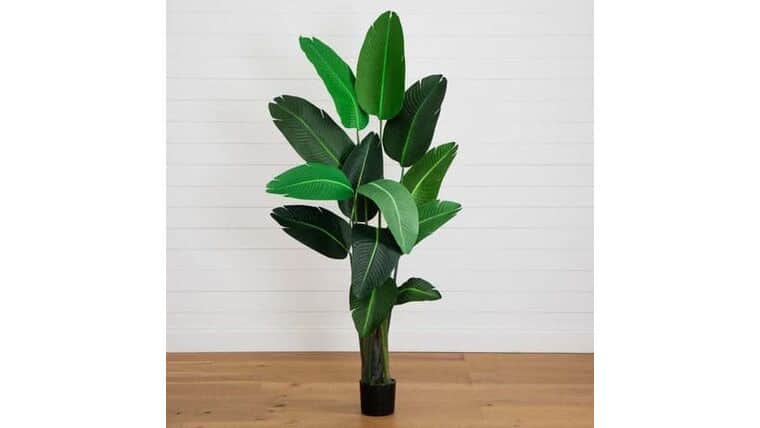 10’ Artificial Travelers Palm Tree | Rental 10’ Artificial Travelers Palm Tree | Rental