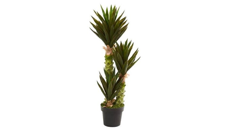 3.5’ Artificial Fourcroydes Agave Plant | Rental
