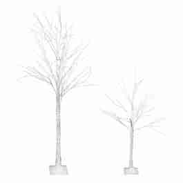 Lighted Birch Trees | Rental Lighted Birch Trees | Rental